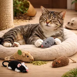 Gato relajado con su ratón